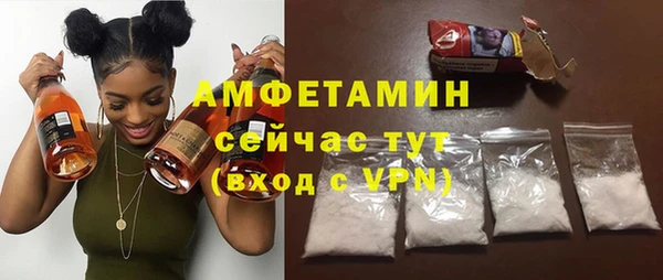 ГАЛЛЮЦИНОГЕННЫЕ ГРИБЫ Горняк