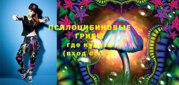 ГАЛЛЮЦИНОГЕННЫЕ ГРИБЫ Горняк