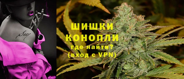 ГАЛЛЮЦИНОГЕННЫЕ ГРИБЫ Горняк