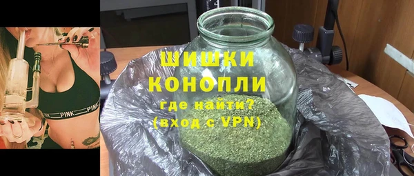 ГАЛЛЮЦИНОГЕННЫЕ ГРИБЫ Горняк