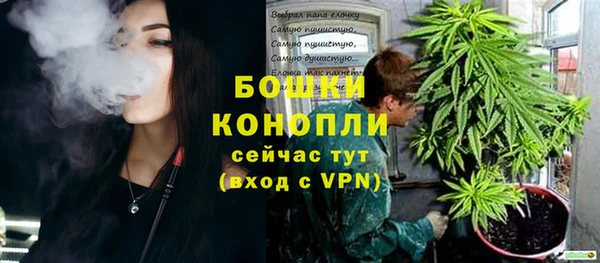 ГАЛЛЮЦИНОГЕННЫЕ ГРИБЫ Горняк