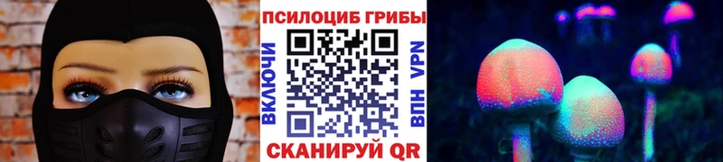 Галлюциногенные грибы мицелий  shop официальный сайт  Новошахтинск 